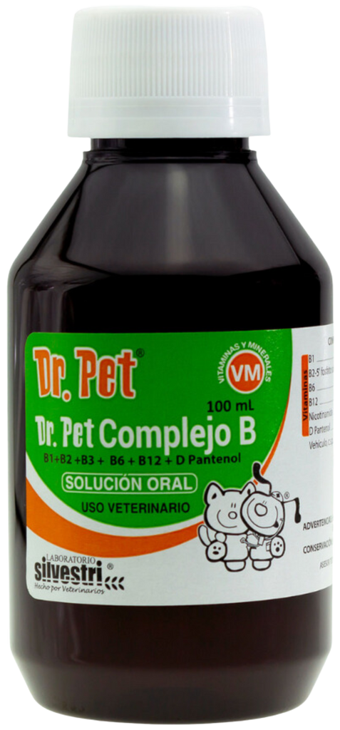 COMPLEJO B DR PET 100ml