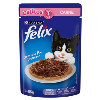 FELIX SACHET CARNE 100g