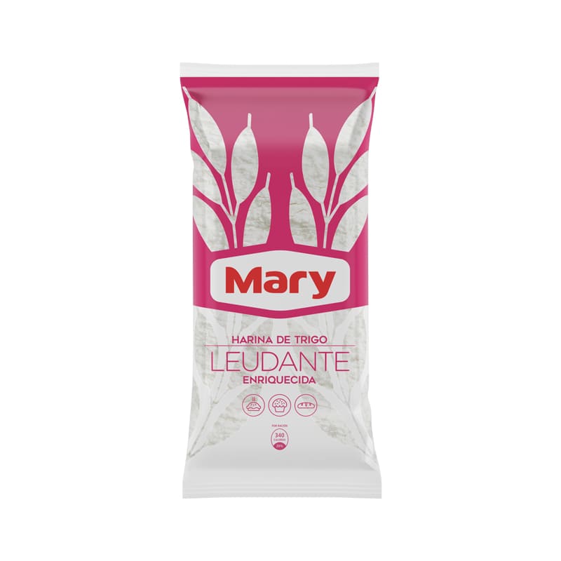 HARINA DE TRIGO LEUDANTE MARY 1KG