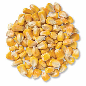 MAIZ AMARILLO (GRANEL) 1KG