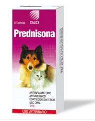 PREDNISONA 5mg 8tab