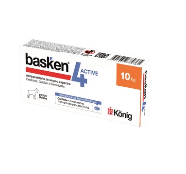 BASKEN 4 ACTIVE PERROS CHICOS 10KG