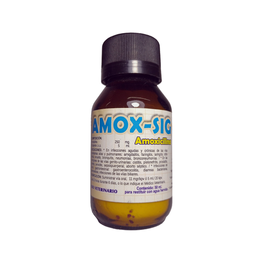 [00126] AMOXICILINA AMOX-SIG 50ml